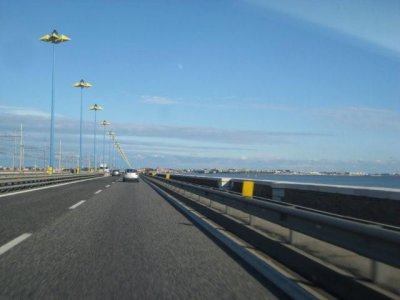 IMG_2290.jpg