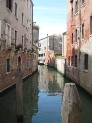 IMG_2327.jpg