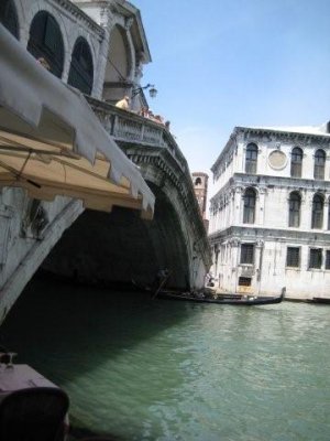 IMG_2335.jpg
