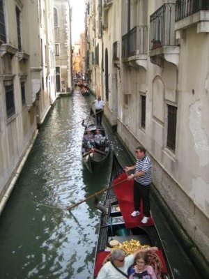 IMG_2347.jpg