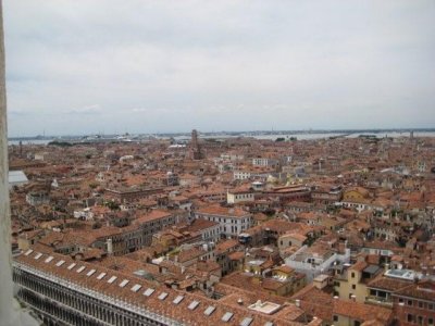 IMG_2375.jpg