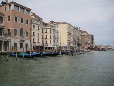 IMG_2383.jpg
