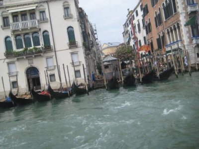 IMG_2384.jpg