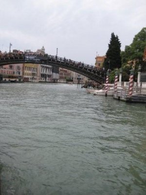 IMG_2387.jpg