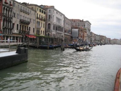IMG_2395.jpg