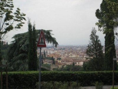 IMG_2430.jpg
