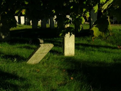 g5/58/6258/3/103471144.0TJz5xzc.jpg
