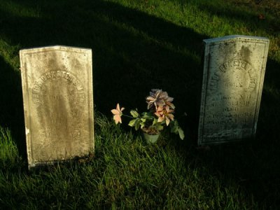 g5/58/6258/3/103543017.WZnnQBkX.jpg