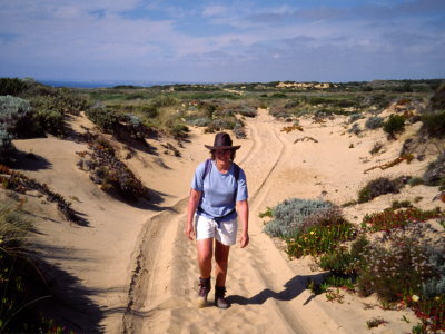 Over the dune path