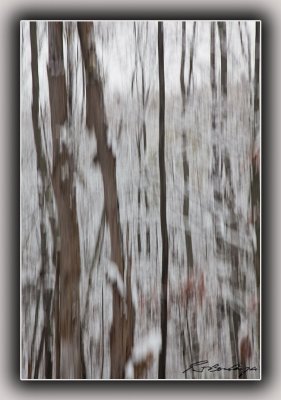 Snow In The Forest, Abstract