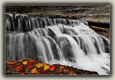Fallen Leaves By Waterfall (2)