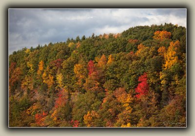 Carpet Of Many Colors