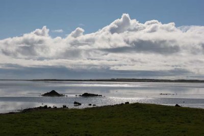 01_Landscape_04.jpg