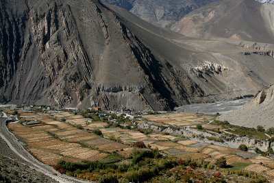 d1npl 304.jpg