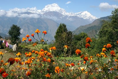 DAY 5 : TATOPANI to GHOREPANI