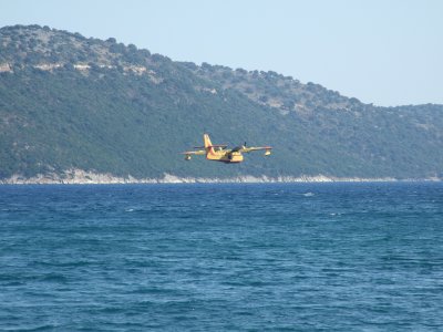 DSCF1761.jpg