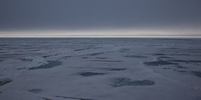 North Pole & Franz Josef Land expedition (7-20 July 2008)