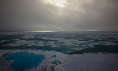 North Pole & Franz Josef Land expedition (7-20 July 2008)