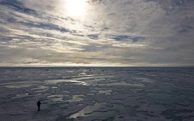 North Pole & Franz Josef Land expedition (7-20 July 2008)