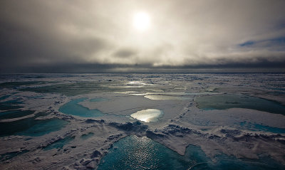North Pole & Arctica