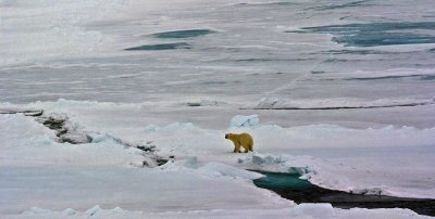 North Pole & Franz Josef Land expedition (7-20 July 2008)