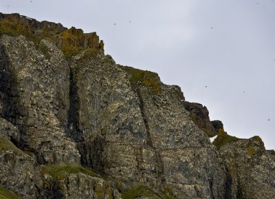 North Pole & Franz Josef Land expedition (7-20 July 2008)