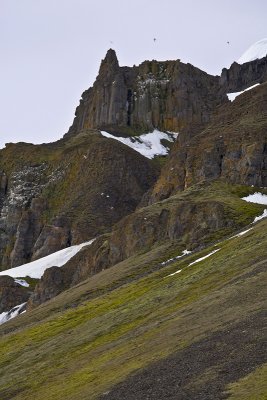 North Pole & Franz Josef Land expedition (7-20 July 2008)