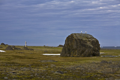 North Pole & Franz Josef Land expedition (7-20 July 2008)