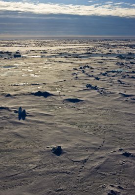 North Pole & Franz Josef Land expedition (7-20 July 2008)
