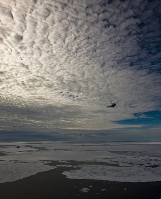 North Pole & Franz Josef Land expedition (7-20 July 2008)