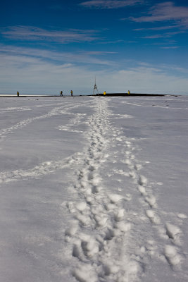 North Pole & Franz Josef Land expedition (7-20 July 2008)