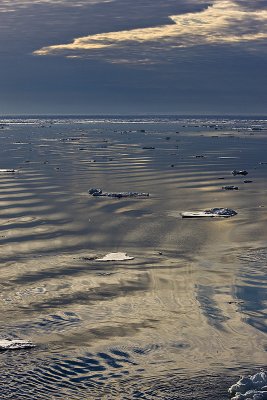 North Pole & Franz Josef Land expedition (7-20 July 2008)