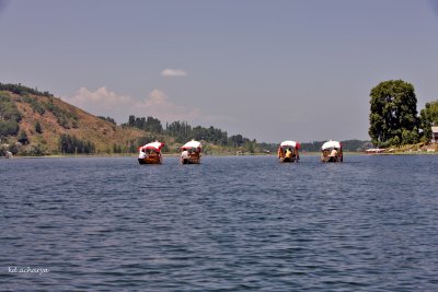 Shikara race, Manasbal Lake