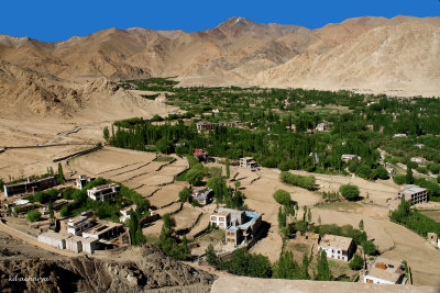 View of Leh Valley from Shanti Stupa, Leh, Ladakh