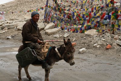 Life goes on at a slow pace, Changlababa Pass, Ladakh