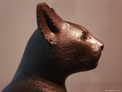 g5/58/819458/3/100650774.UoIAldHd.jpg