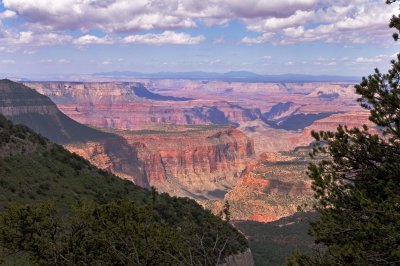 North Rim of the Grand Canyon (Arizona)
