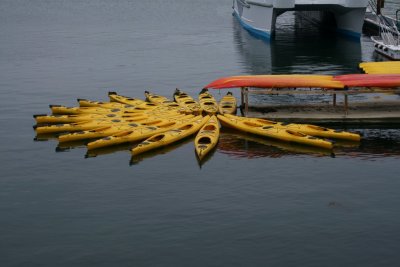 Bar Harbor 