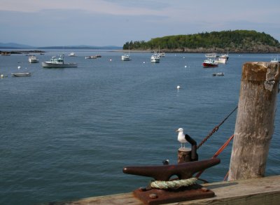 Bar Harbor 