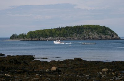 Bar Harbor