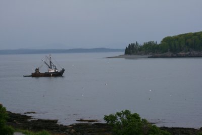 Bar Harbor 