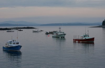Bar Harbor 