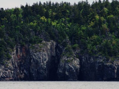 Bar Harbor 