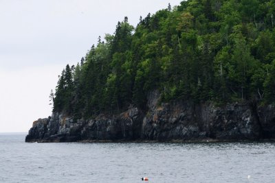 Bar Harbor 