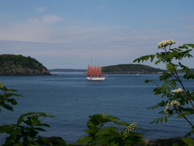 Bar Harbor- The Margaret Todd 