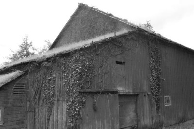 Black And White Barn