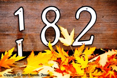 g5/58/844158/3/118563055.SigS0GJj.jpg