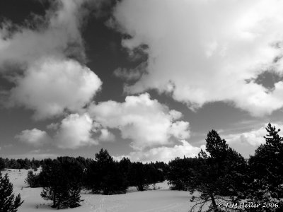 PICT0404_3.JPG