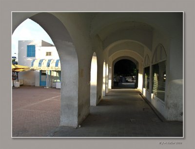 20091025-IMG_0363 copie.jpg