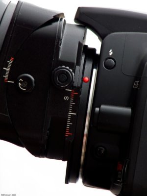 Canon TS-E 24mm F/3.5 L with smallest Canon body